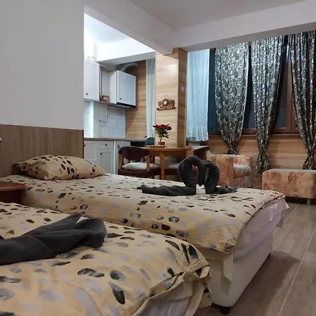 студио тони Burgaz